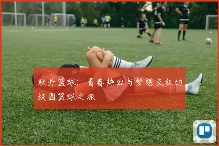 耿丹篮球：青春热血与梦想交织的校园篮球之旅