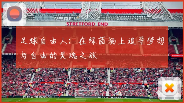 足球自由人：在绿茵场上追寻梦想与自由的灵魂之旅
